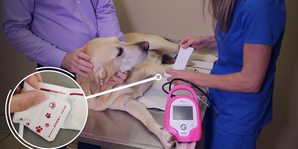 Effortless Cuff Sizing for Vet BP