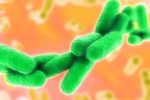New Superbug Bacteria